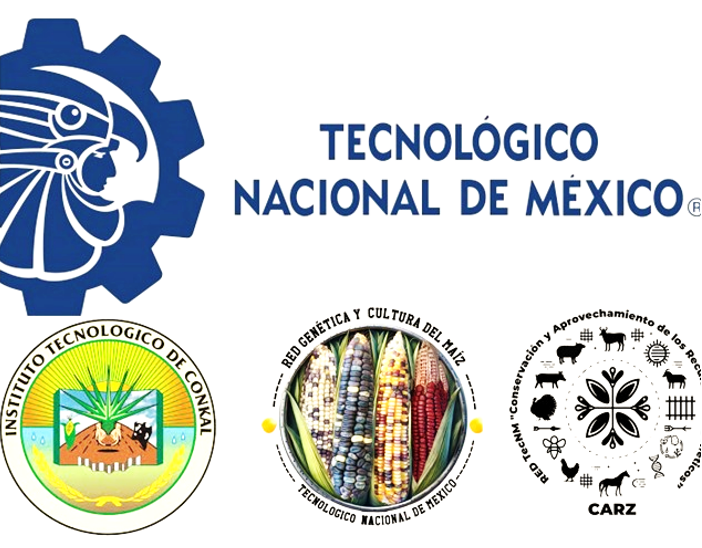 Tecnologico Nacional